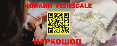 гашик Жуковский