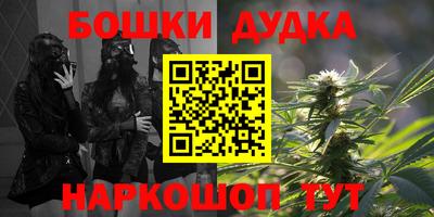 индика Заводоуковск