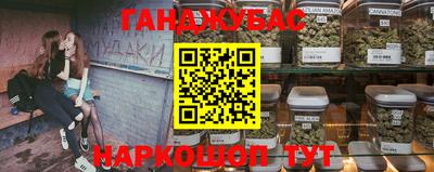 индика Заводоуковск