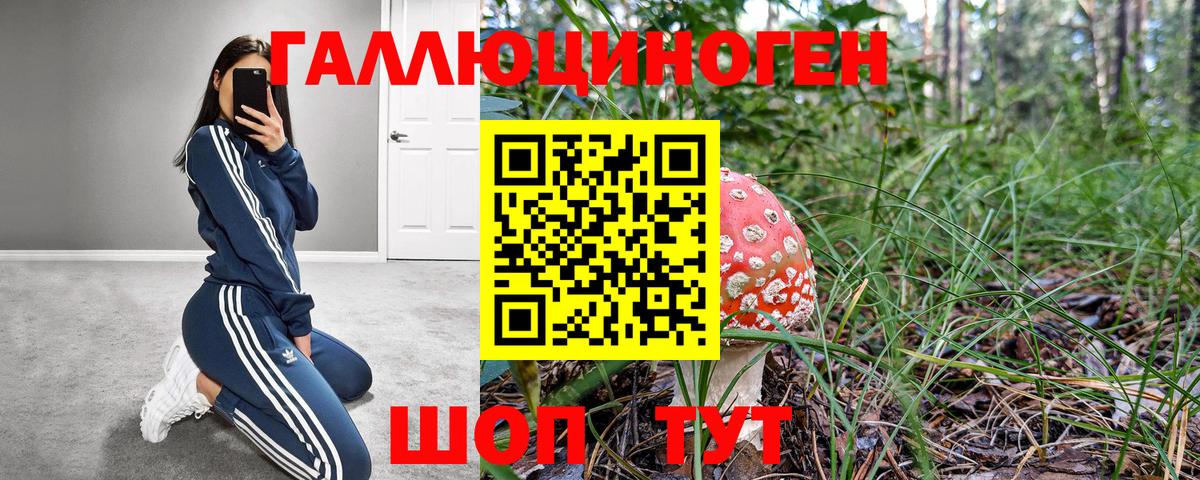 Галлюциногенные грибы Psilocybine cubensis  Псилоцибиновые грибы Magic Shrooms  Вход с VPN  Курчалой 