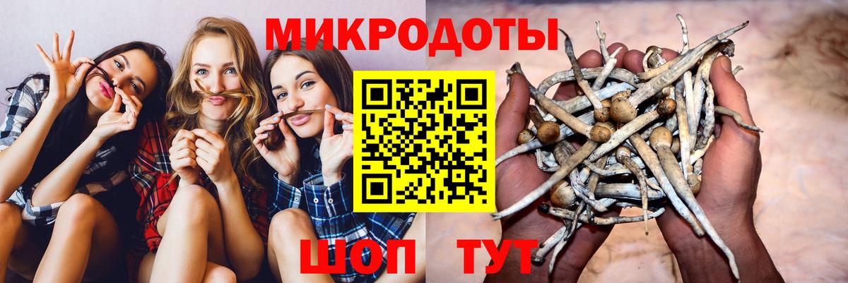 Псилоцибиновые грибы мицелий Курчалой